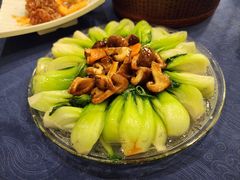 -金龙寨(龙城路店)