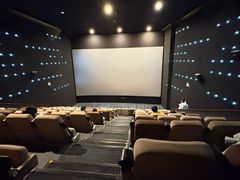 -深影国际影城(学院南路店CGS中国巨幕店)