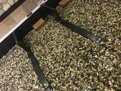 -极乐汇汗蒸会馆(杭州店)