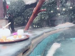 -芭东小镇温泉