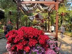 -惠山古镇·寄畅园