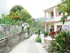 -南丫岛