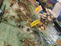 -九號渔港·蒸汽海鲜·粤菜茶点(八卦岭店)