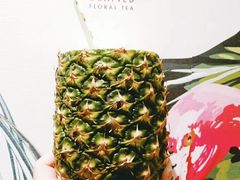 -Flamingo Bloom(TST /尖沙咀店)
