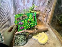 -上海大自然野生昆虫馆(东方明珠·爬宠昆虫探索中心)