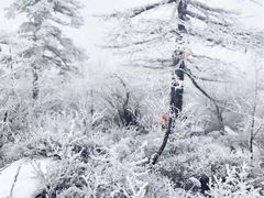 -终南山国家森林公园