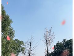 -浙江科技大学(小和山校区)