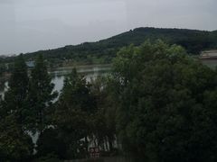 -羊山湖公园