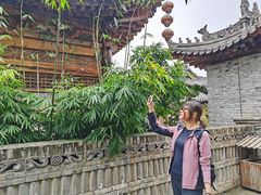 -渭南桃花源民俗文化园