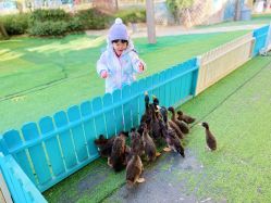 -萌宠亲子动物乐园(槐房万达店)