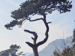 -妙峰山风景名胜区