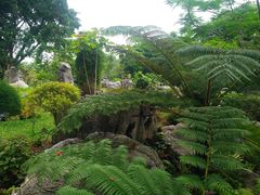-东莞植物园