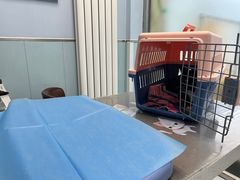 -纳吉亚猫专科动物诊疗中心(蒋宅口分院)