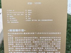 -锦什坊街叁拾伍号大厦