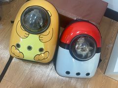 -荔康动物医院(康王北路店)