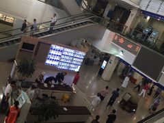 -上海市东方医院(总院)