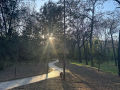 -森林公园(尖草坪区)