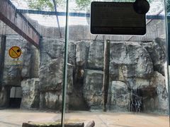 -南昌动物园