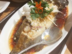 清蒸石斑鱼-小平岛開海水饺(浑南店)
