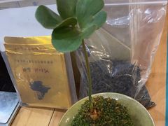 -龙源茶坊(白银路店)