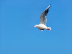 -铁路江上俱乐部