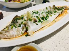 -船歌·鱼水饺青岛菜(金狮广场店)