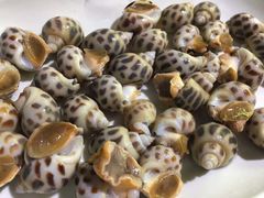 -吉品莞家·鲍鱼鸡煲(东莞店)