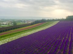-富田农场