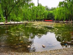 -玲珑塔公园