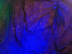 -醉小酒馆·川菜·江湖菜·重庆菜(观音桥旗舰店)