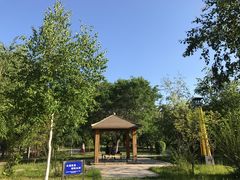 -黑龙江大学