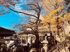 -成田山新胜寺