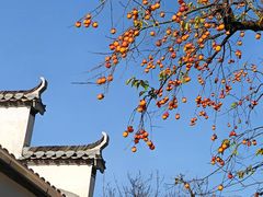 -塔川景区