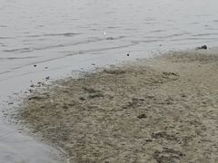 -霞山观海长廊