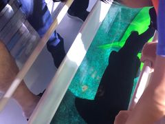 -暹罗海洋世界