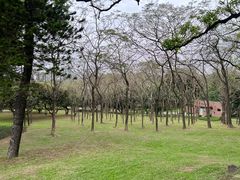 -紫马岭公园
