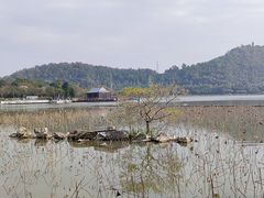 -顺峰山公园
