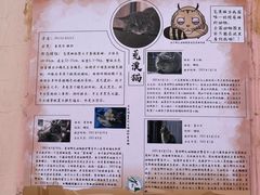 -青藏高原野生动物园