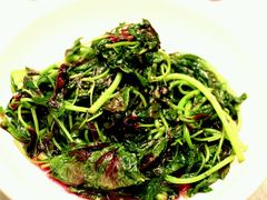 -新聚丰菜馆(太监弄店)