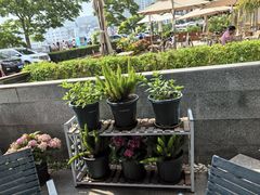-JF Garden(渔人码头店)