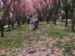 -洨河生态公园