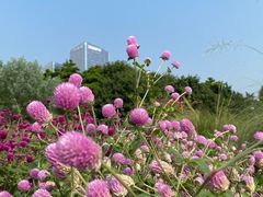 -文华公园(禅城区)