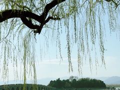 -颐和园