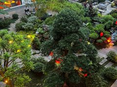 -聚福宝合苑食府(南头镇店)