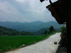 android_upload_pic-紫鹊界梯田景区