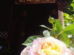 -龙源茶坊(白银路店)