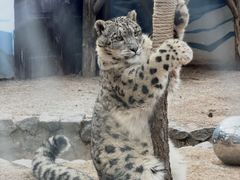 -青藏高原野生动物园