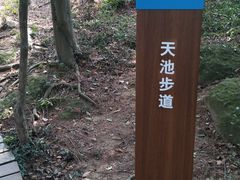 -南京市无想山景区