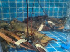 -正亮农家院·海鲜本地菜