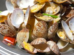 -前海沿·青岛菜(大拇指广场石老人店)